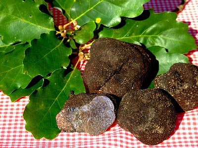 gastronomie aquitaine