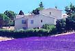 Chambres d'h�tes Valensole Verdon