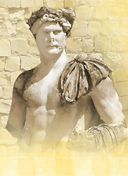 vaison la romaine