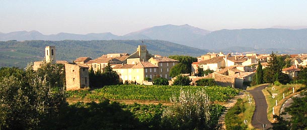 vue panoramique de buisson