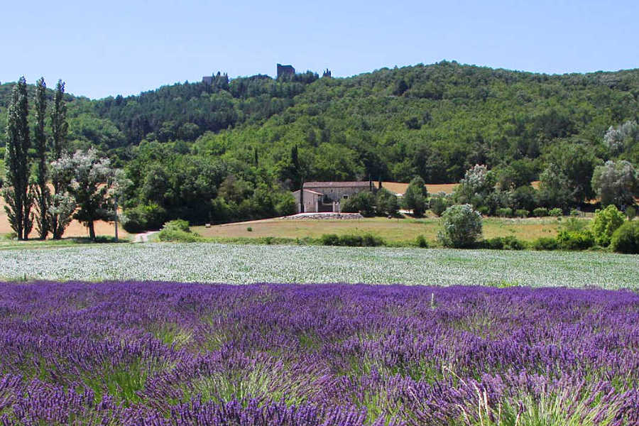  Location de charmeDrôme Provençale